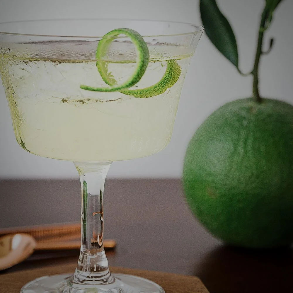 seekers-white-negroni-spirit-gallery-tile.jpg