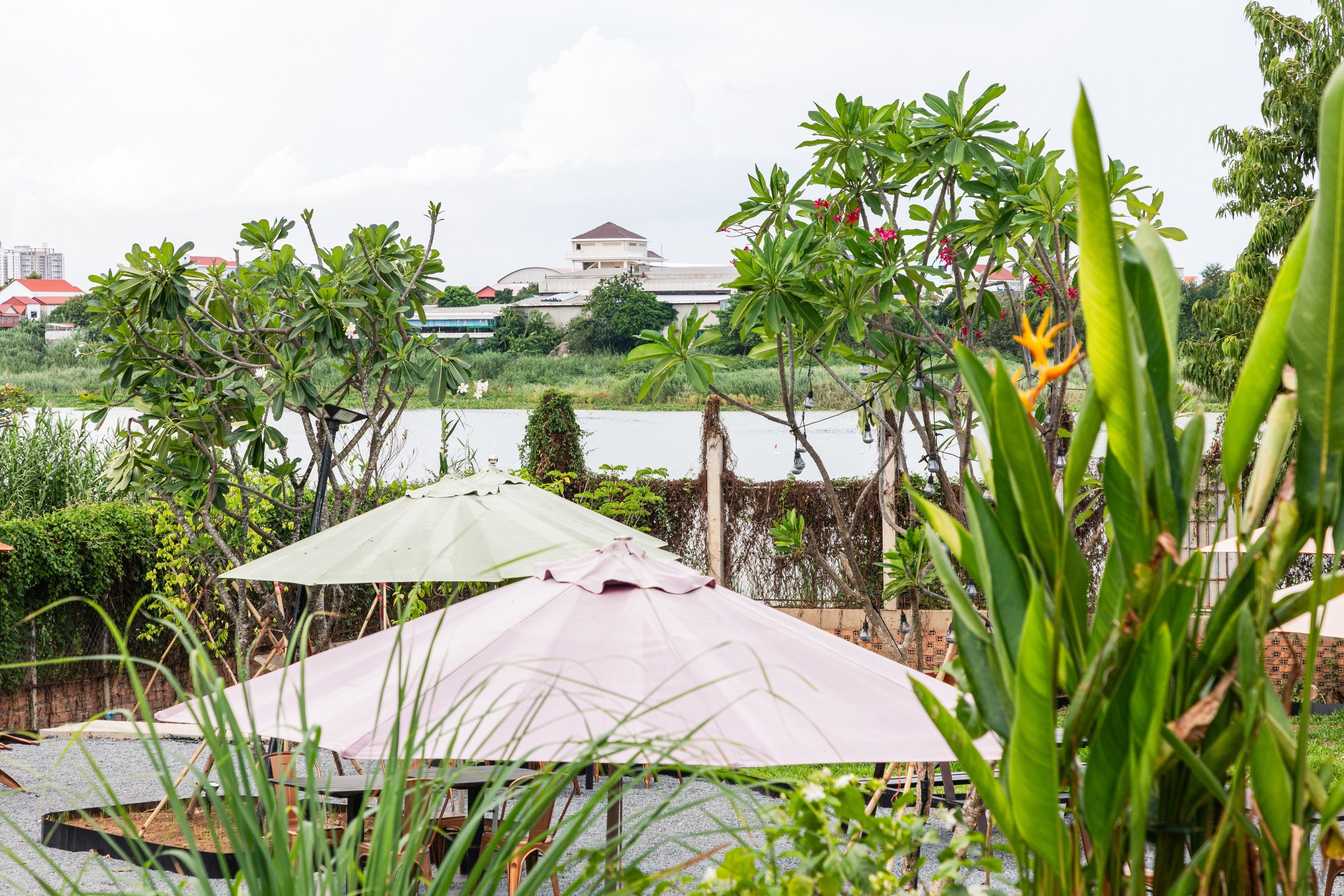hero2-garden.jpg
