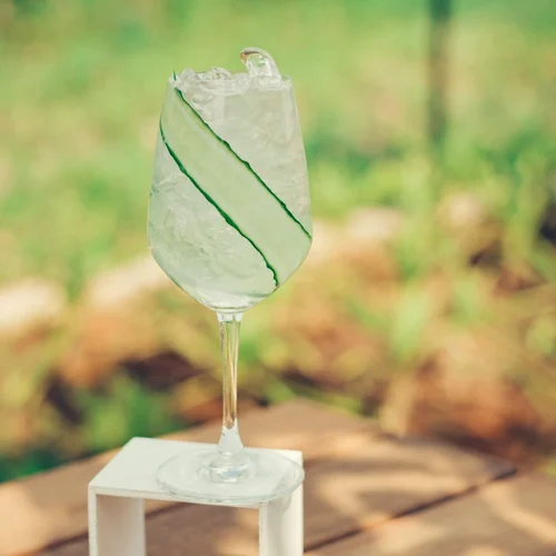 Botanical Spritz cocktail
