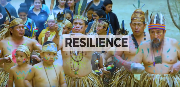 SEPLS韌性力指標影片