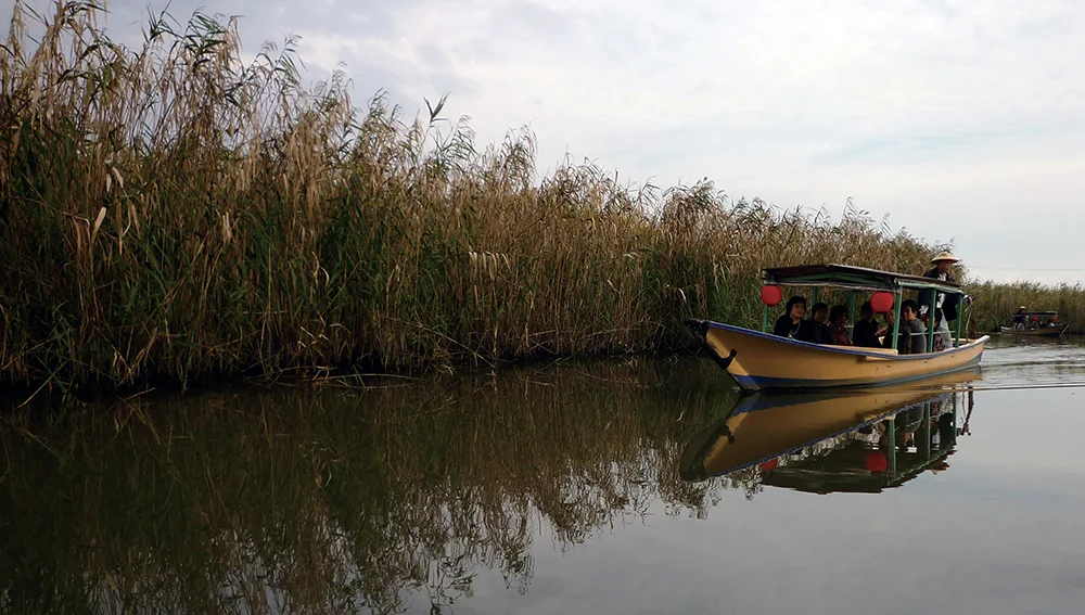 里山倡議國際夥伴關係網絡