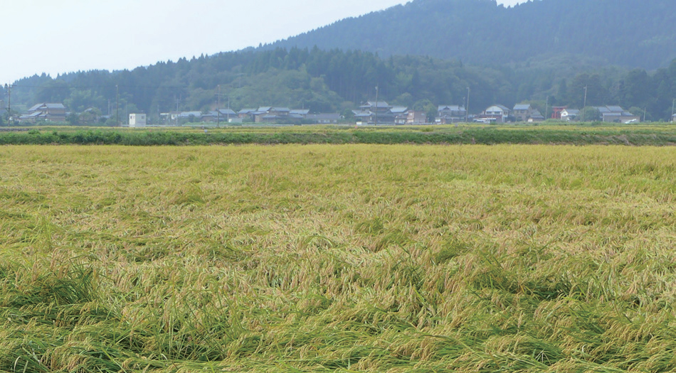 第四屆里山倡議國際夥伴網絡會議