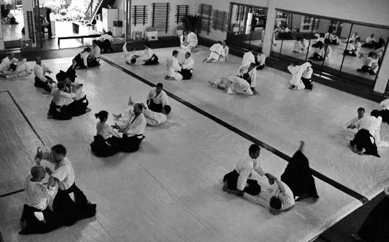 dojo-with-full-mat-sawariwaza.jpg
