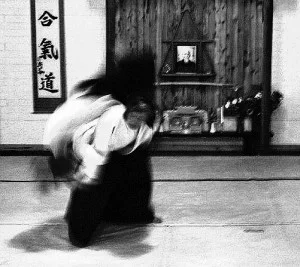 sensei2-300x267.jpg