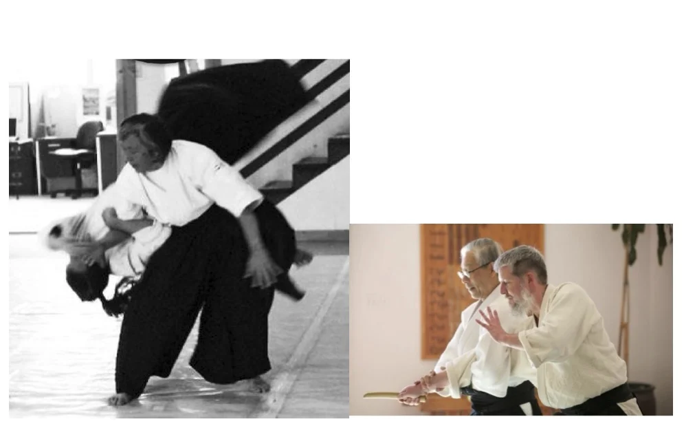 AIKIDO SEMINAR WITH BERNICE TOM AND HOA NEWENS