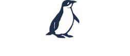 Low Head Penguin Tours