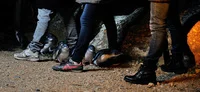 homepage_gallery12.jpg