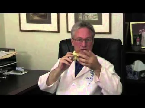 The Spine is a Spring (Copy)