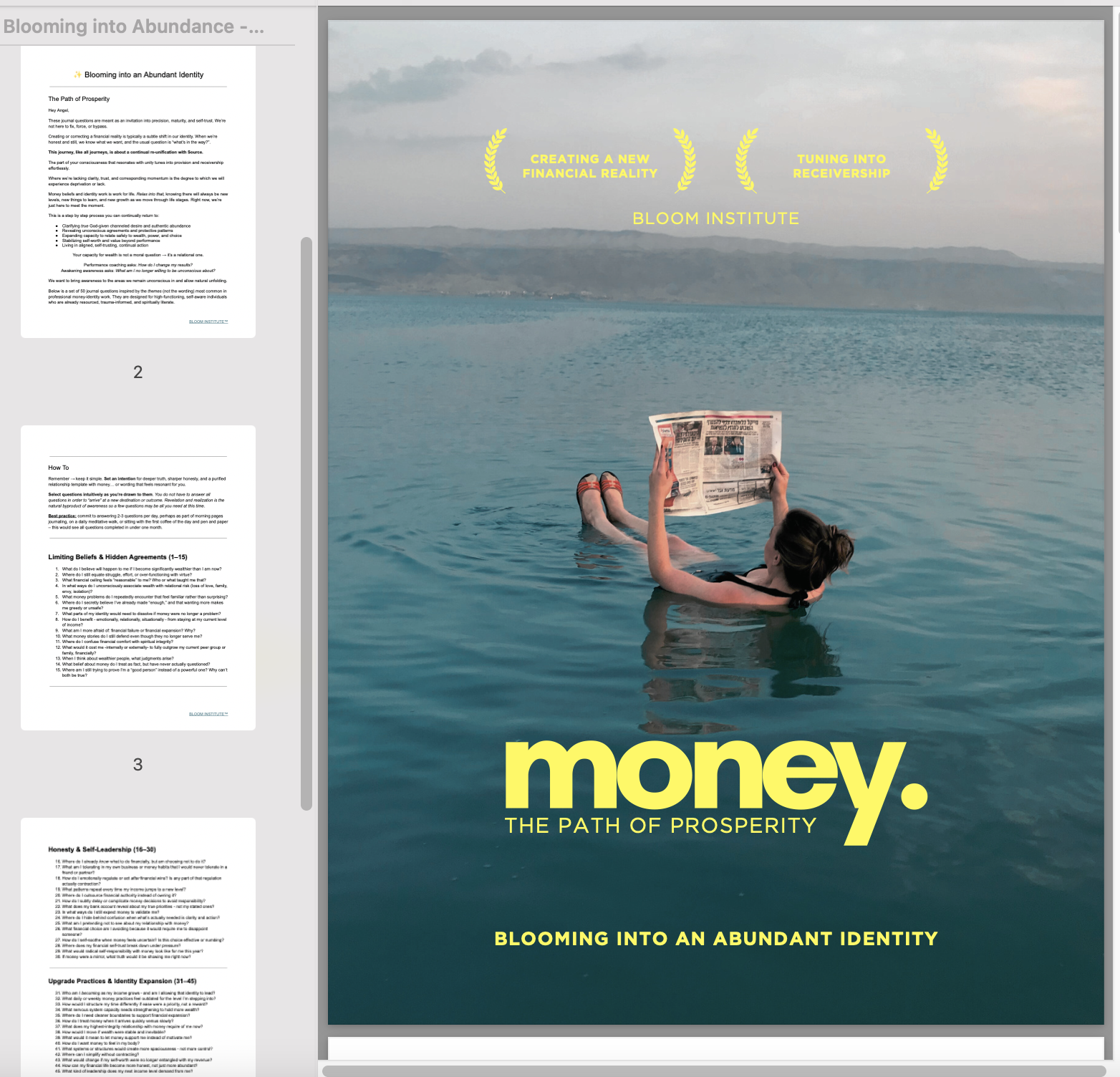 bloom money journal product 2.png