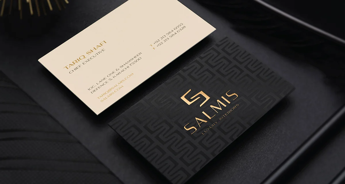 13. Salmis - Pres-01.jpg