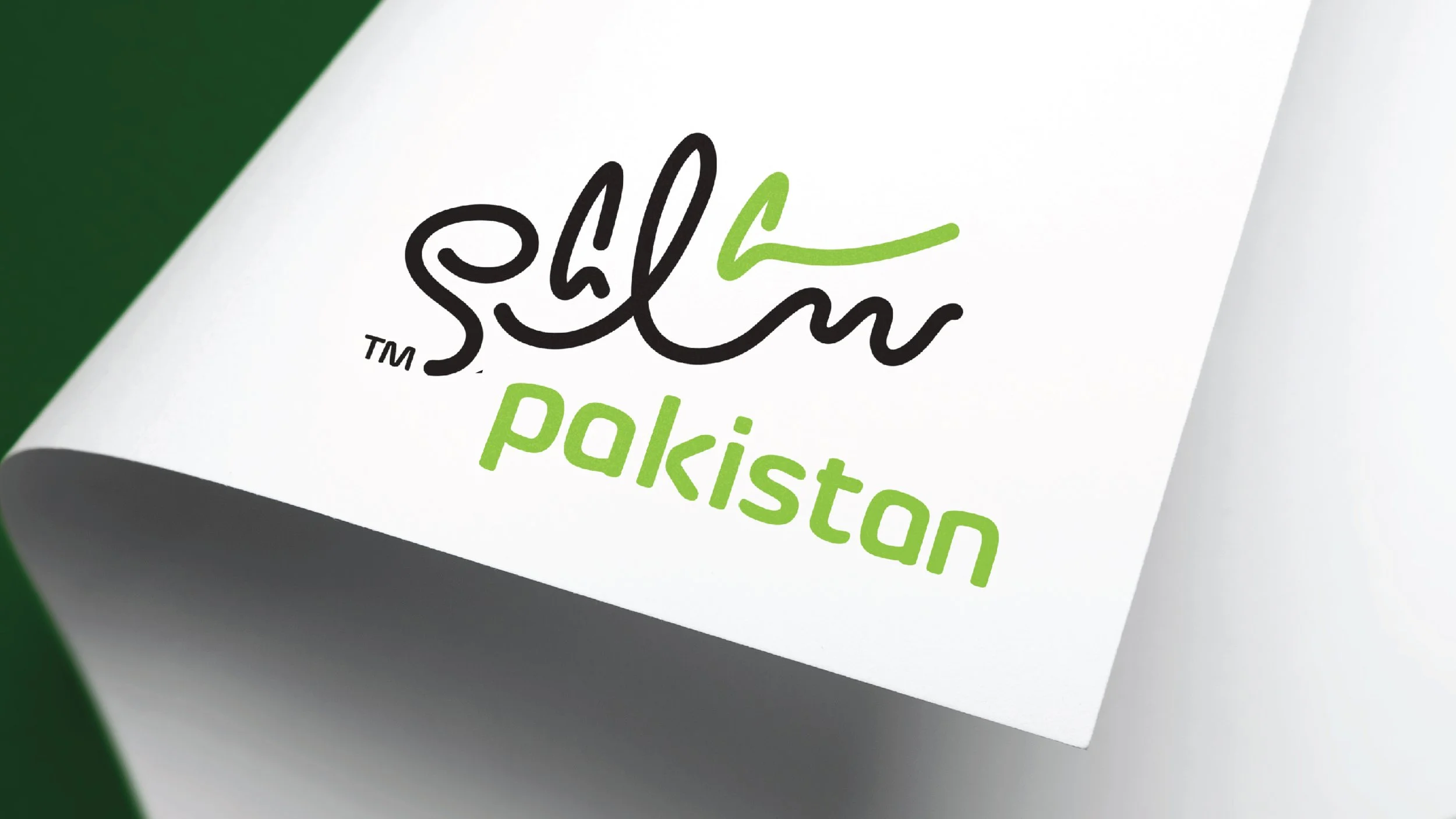 Salam Pakistan D'Hamidi Portfolio_ .jpg