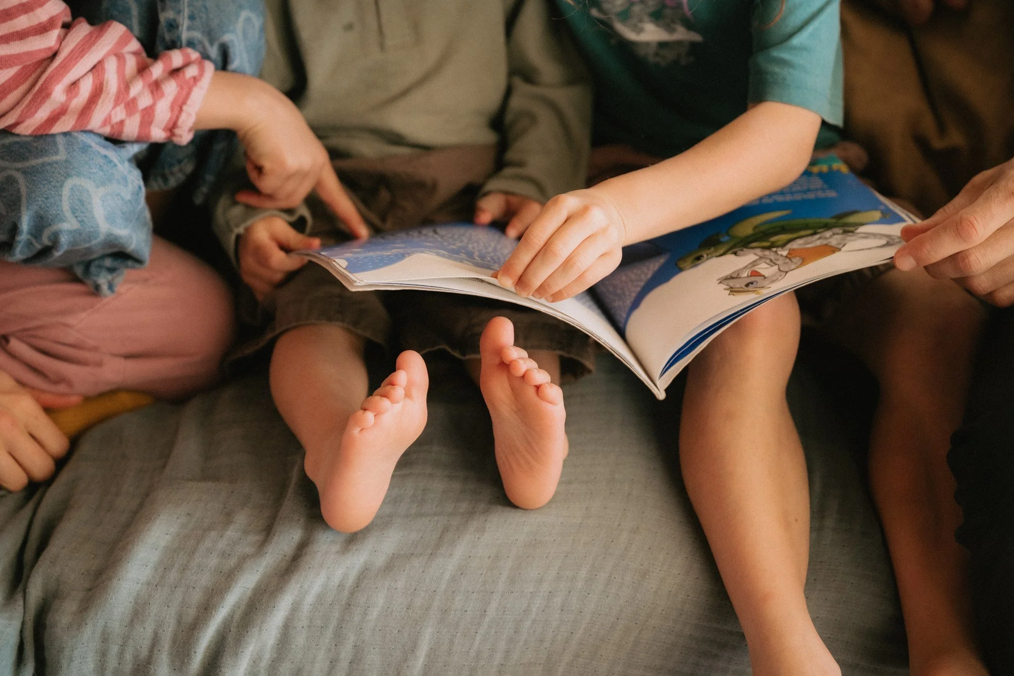 gold coast family reading a book together