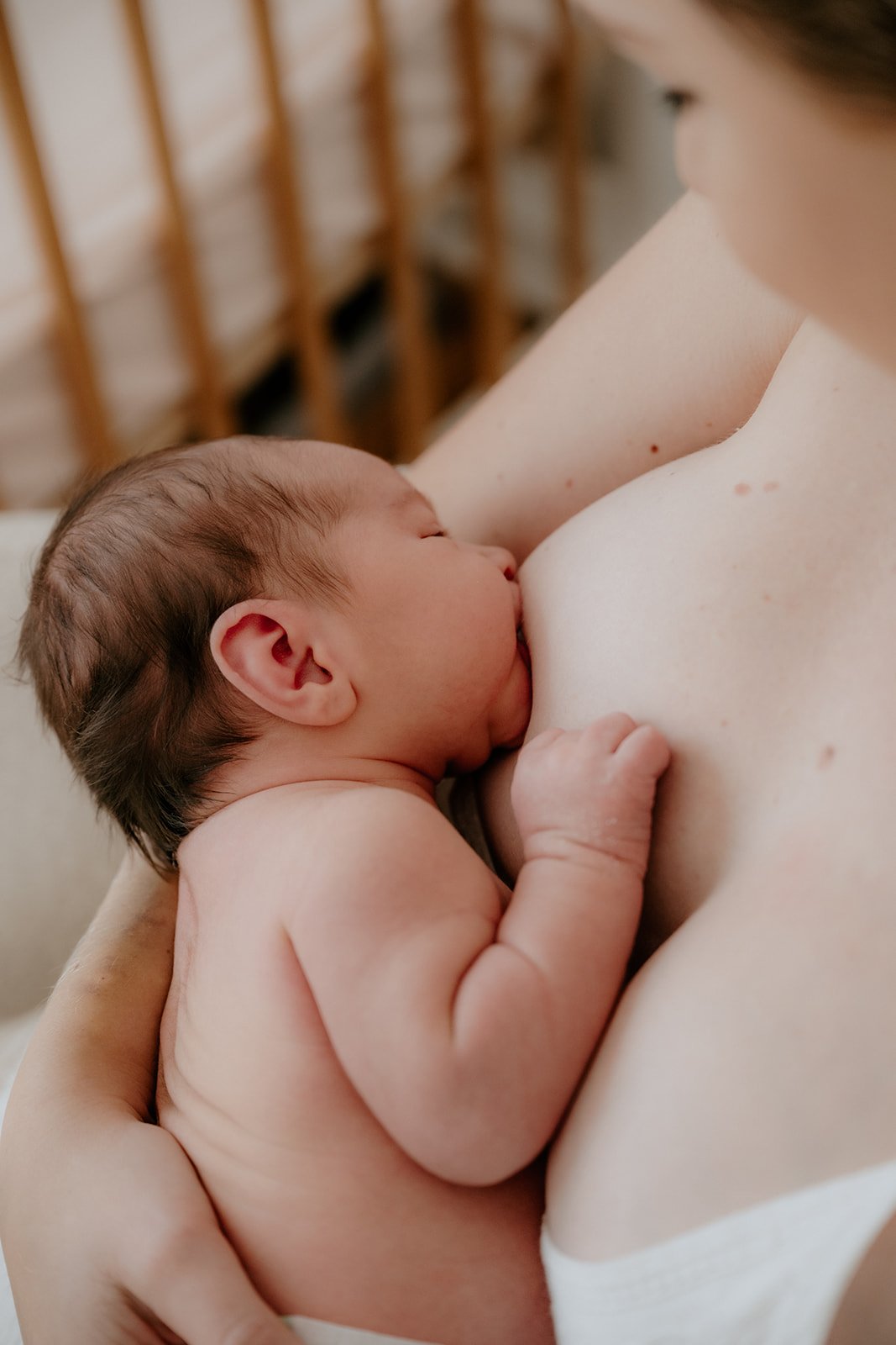 gold coast family photographer