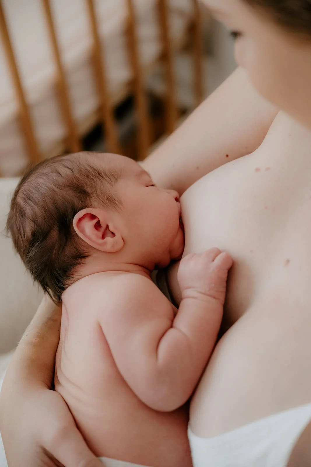 gold coast newborn photographer