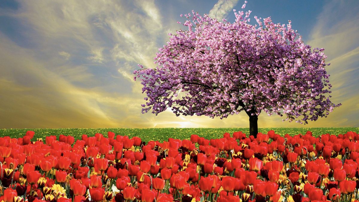 Be Wakeful, Watchful &amp; Prayerful