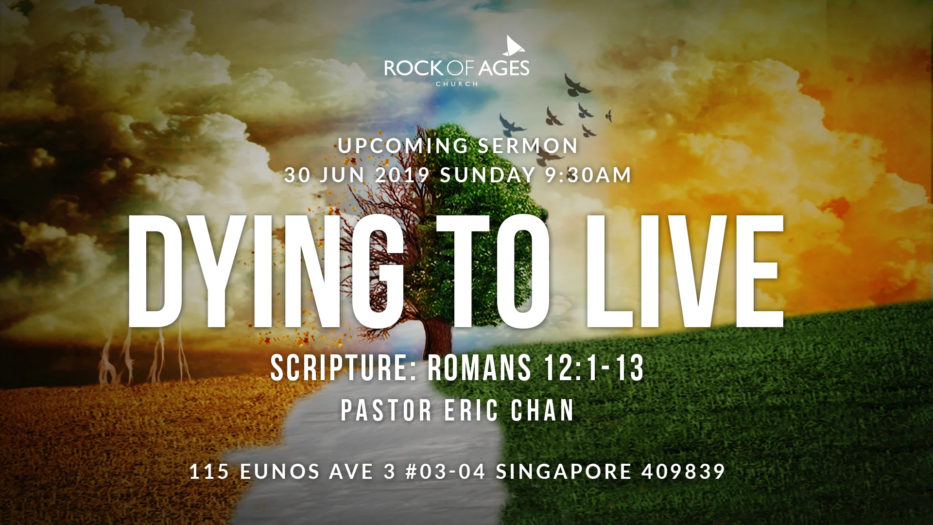 This Sunday