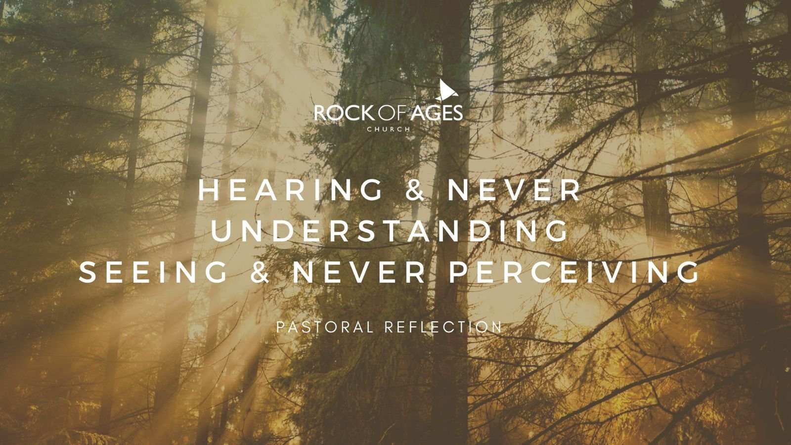 Hearing &amp; Never Understanding, Seeing &amp; Never Perceiving
