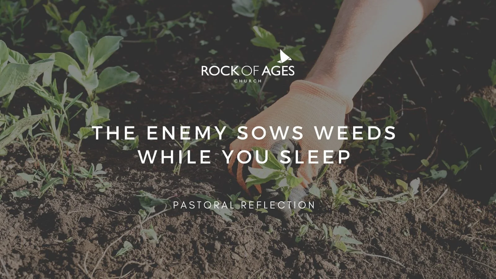 The Enemy Sows Weeds While You Sleep 