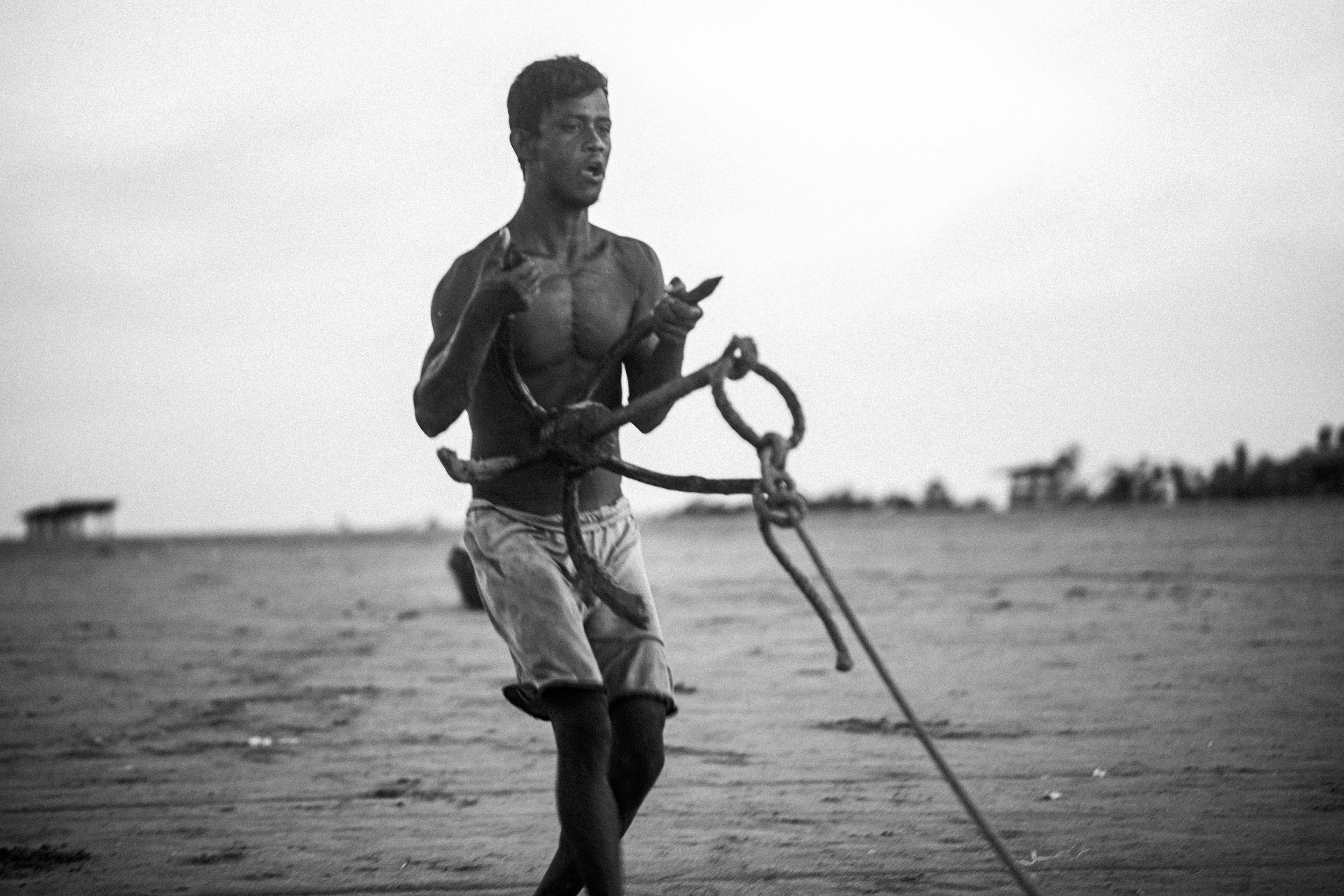 Photo by Sayed Asif Mahmud 