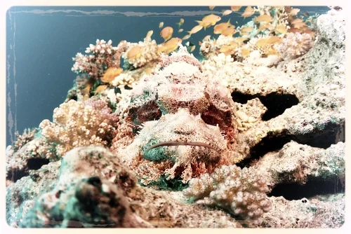  Varför är Nina så satans känslig?