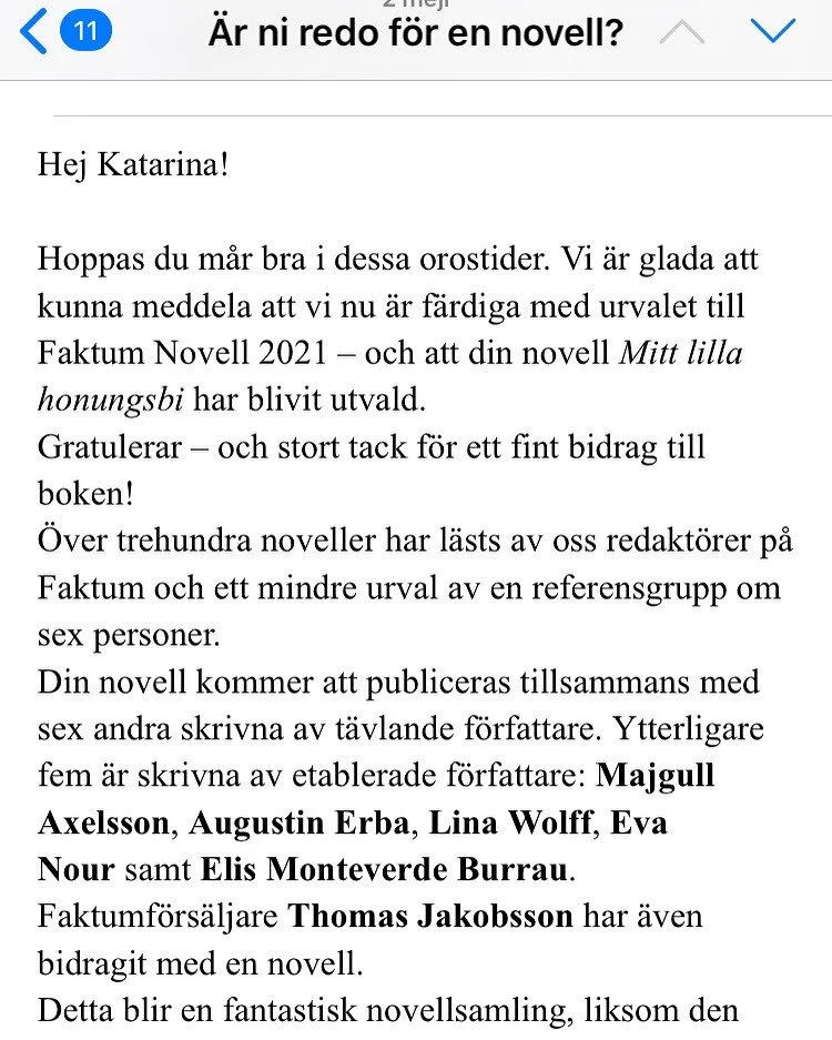 Det kom ett mail!