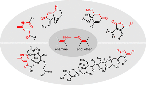 Read Thomas' contribution to the special issue of Acc. Chem. Res. on Total Synthesis of Natural Products