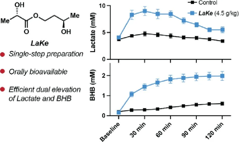 Read about the preclinical studies of the LaKe ester, which allows for simultaneous administration of lactate and a beta-hydroxybutyrate precursor in Journal of Agricultural and Food Chemistry now! 