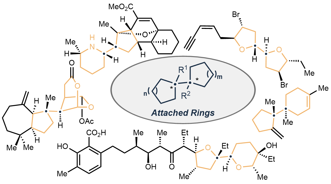 Søren and Thomas has written a review on the construction of C(sp3)-C(sp3) attached rings, which can now be found in Nat. Prod. Rep. Give it a read!