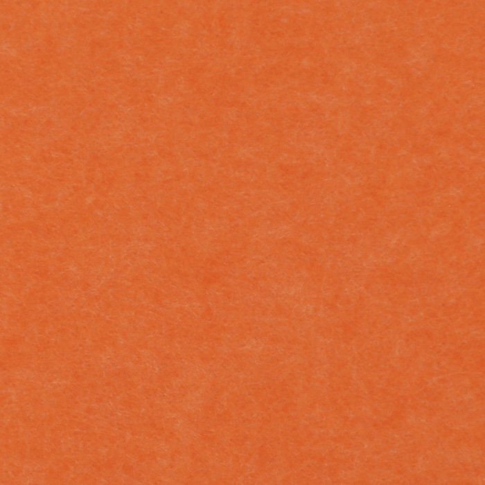 PP-03.jpg