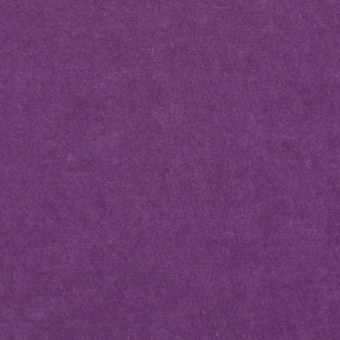 PP-19.jpg