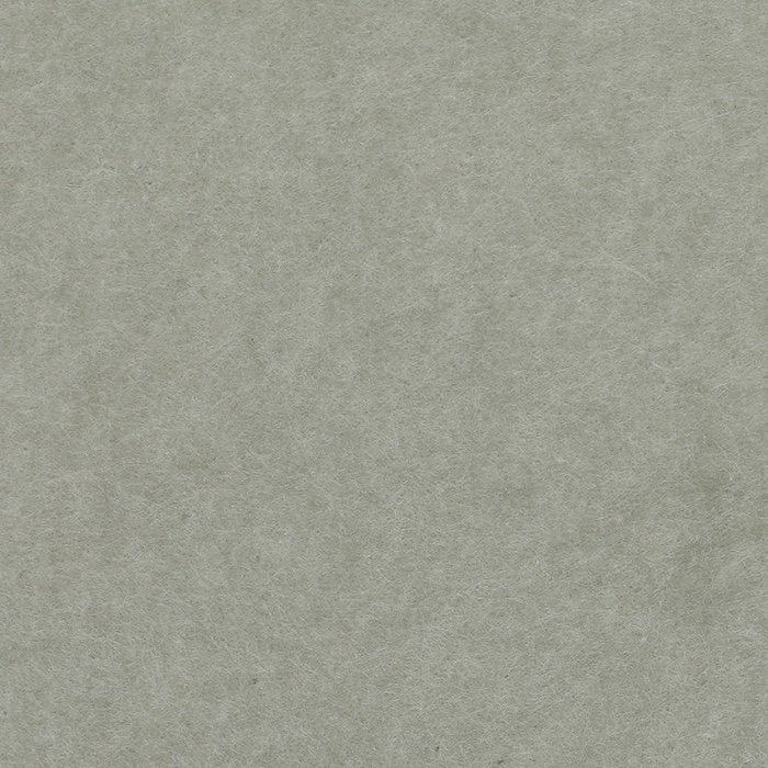 PP-29.jpg