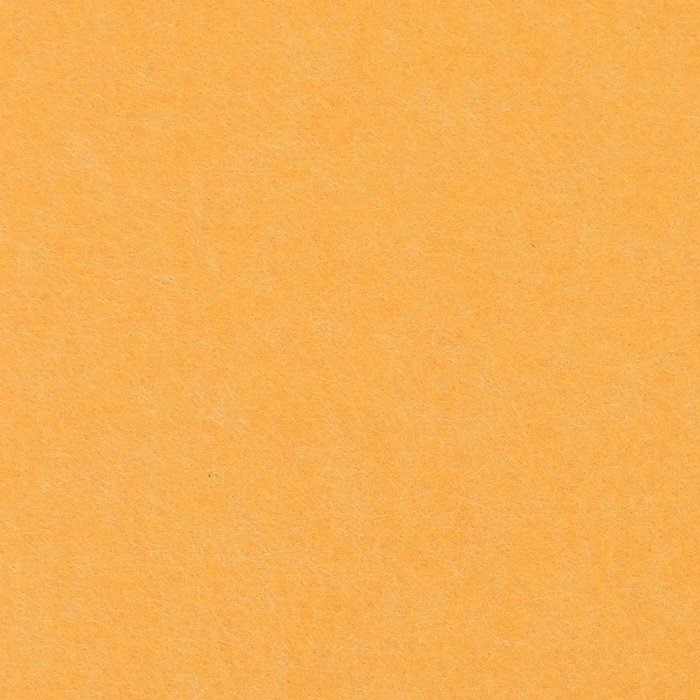 PP-50.jpg