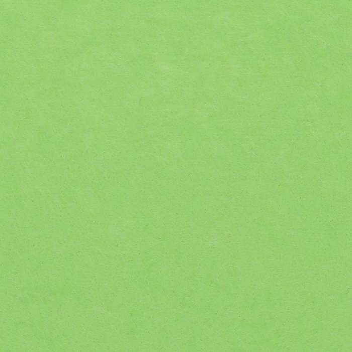 PP-55.jpg