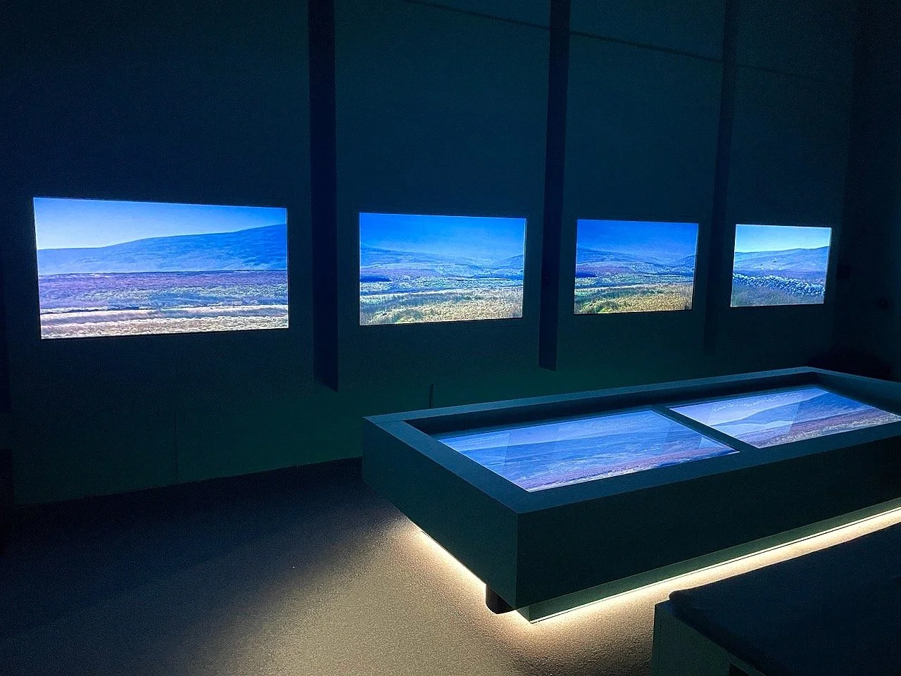 "Listening All Night To The Rain"  Venice Biennalle 2024
