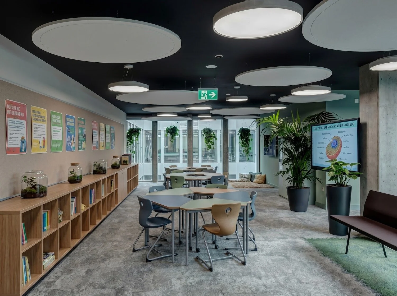 PetFelt acoustic circular ceiling rafts in a UK classroom.jpeg