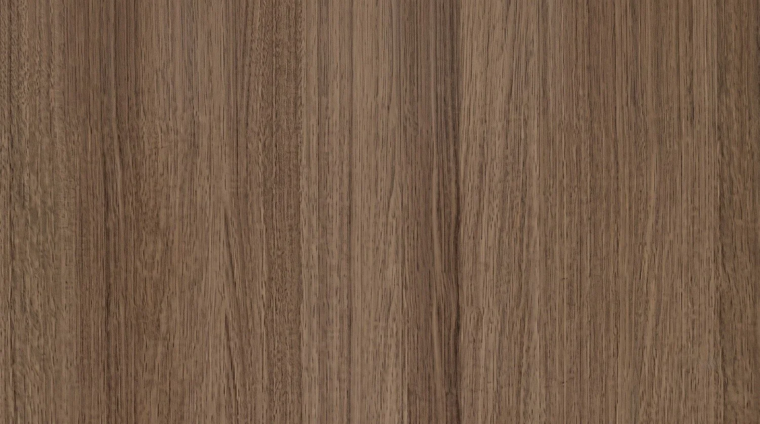W005 - Woods.jpeg