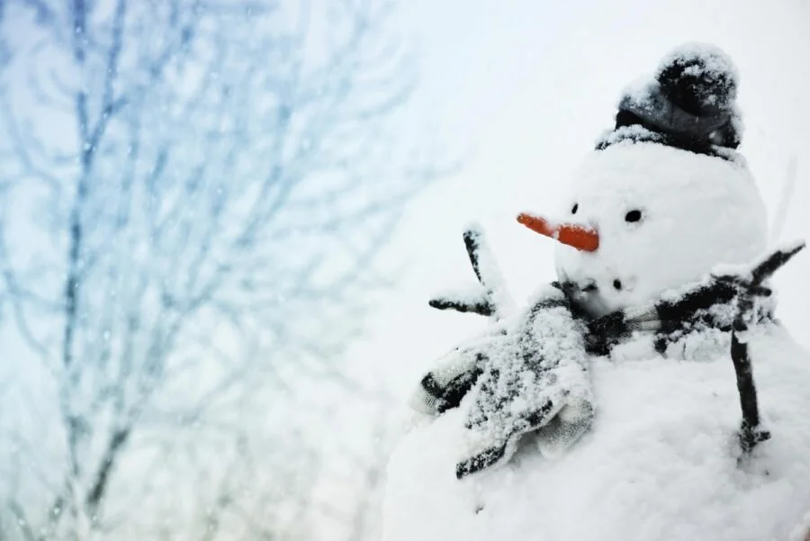 Snow Day