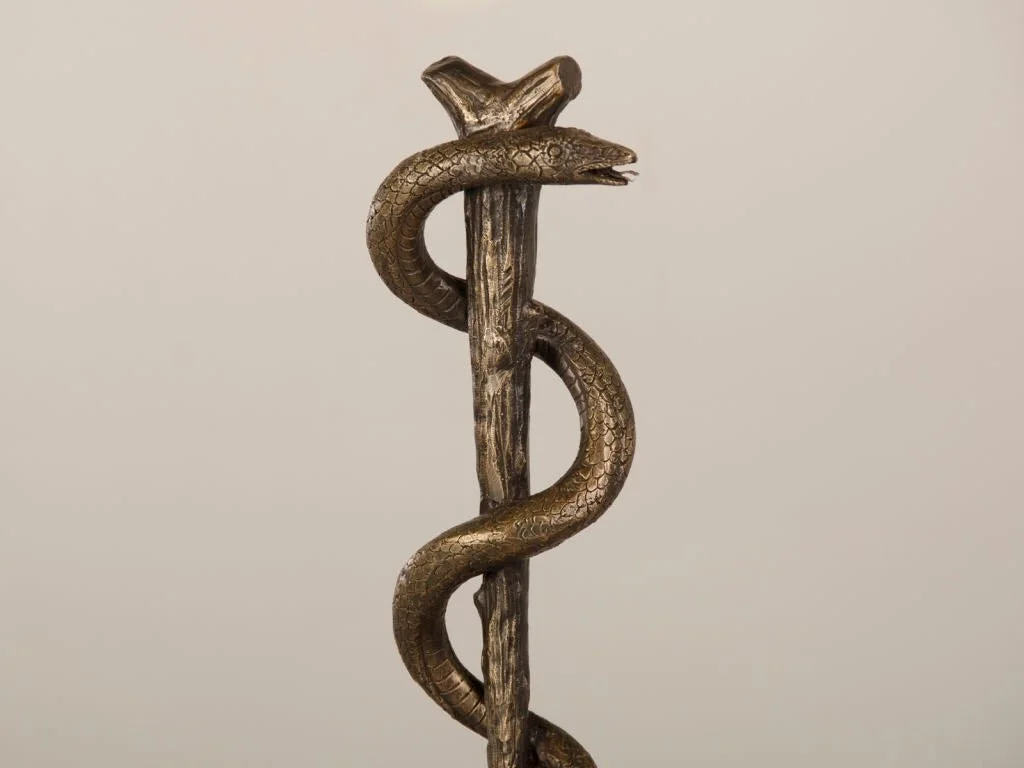 Snake on a pole