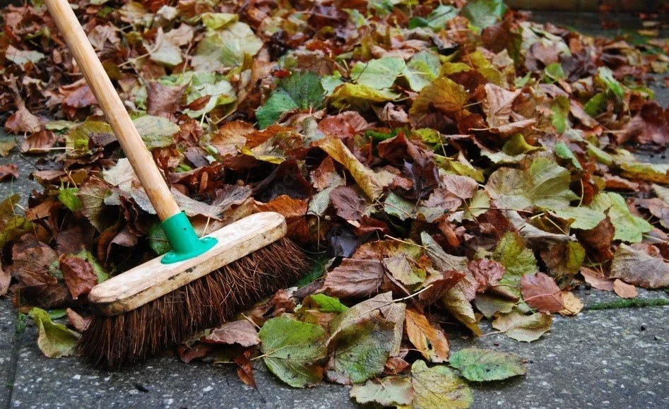 Autumn Leaves