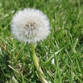 There is a sound I have been hearing more frequently over the last few weeks. Discover what it is in this week&rsquo;s blog available on our website now 😀