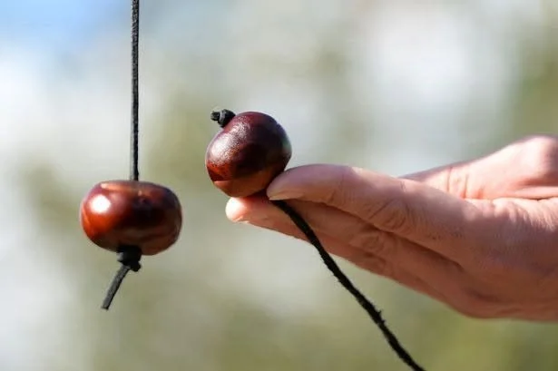 Conker Fights