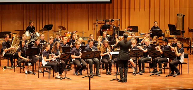 MHS Orchestra 3.jpg