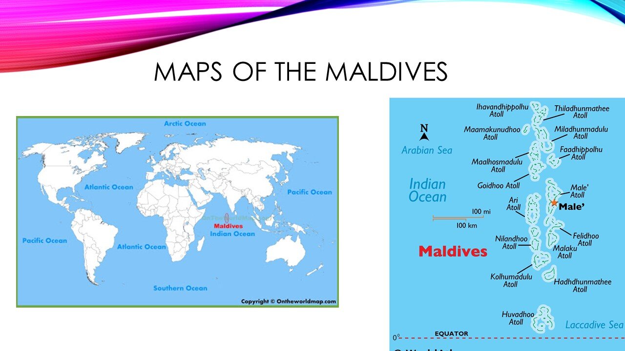 Slide8.JPG