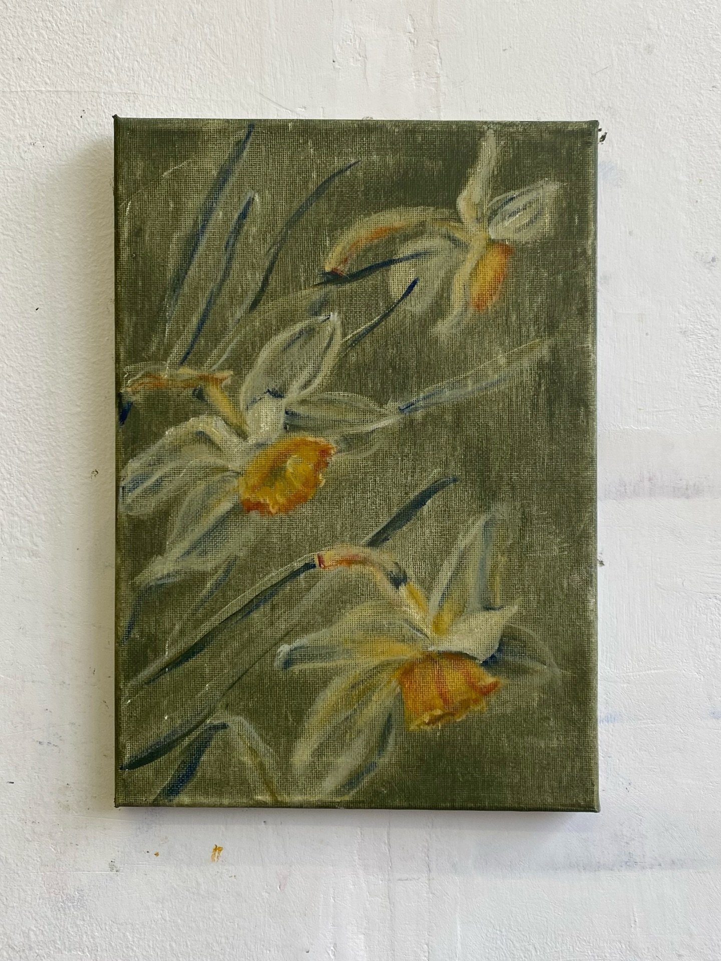 Another daffodil study 💛