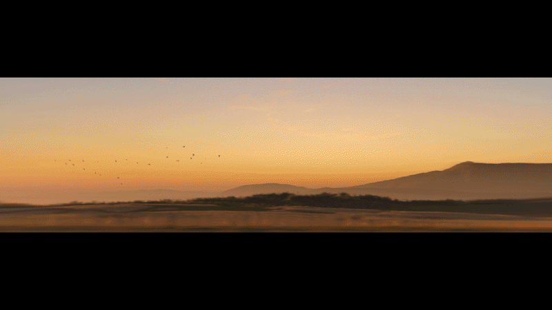 VOL257_gif_overview.gif