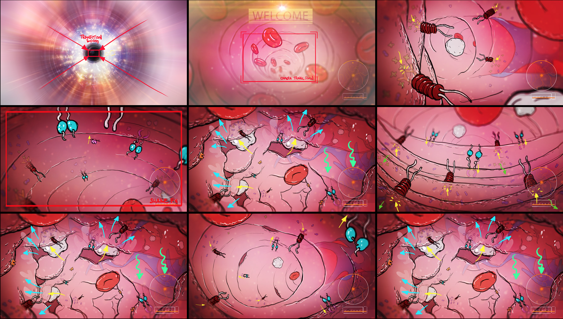 Roche_storyboards.png