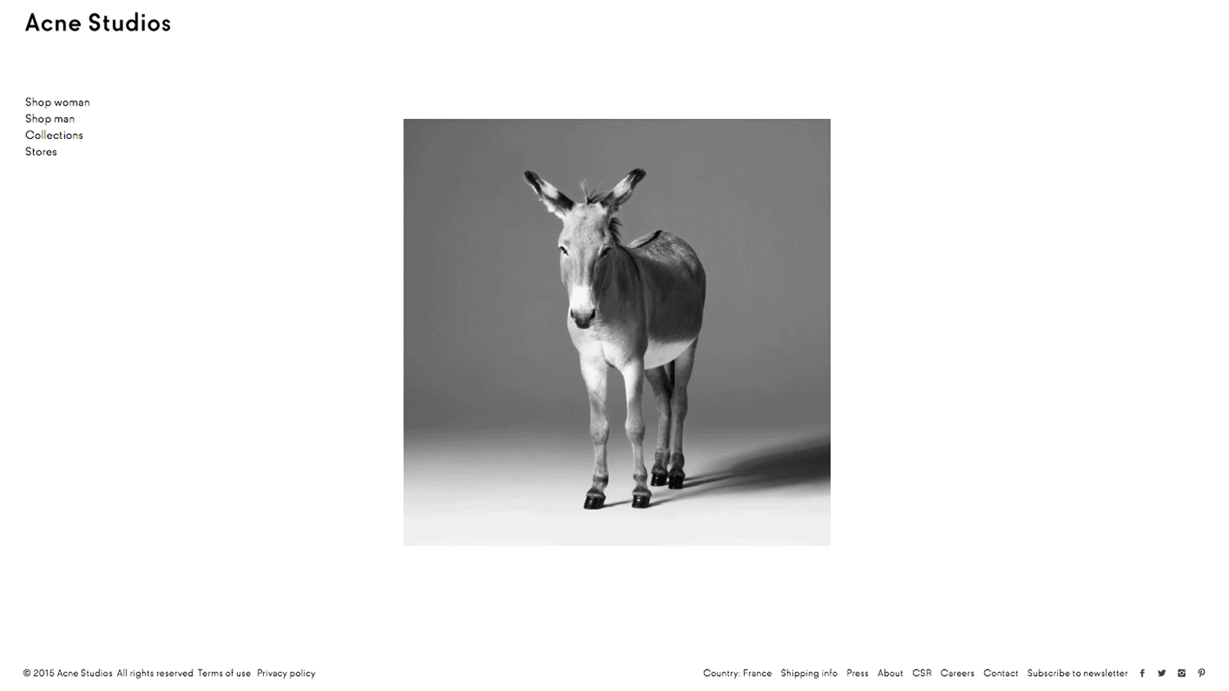 Magnus-Naddermier-Acne-Studios-bag-launch-prod-page-04.gif