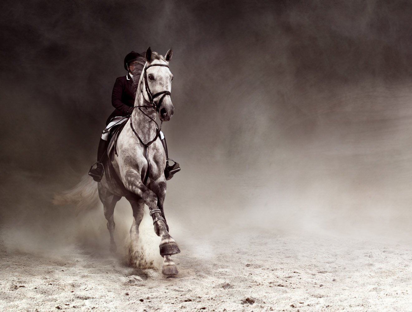 Cooper&Gorfer+for+Göteborg+Horseshow.jpg