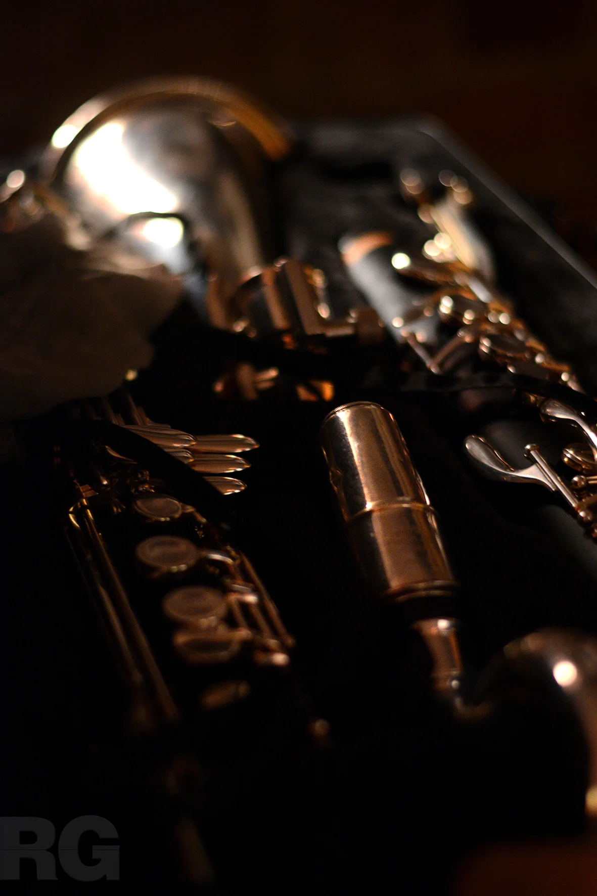 DSC_6402_master_small.jpg