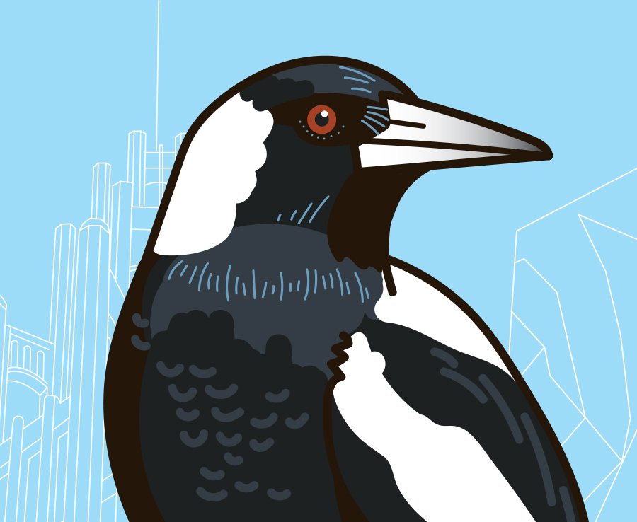Magpie